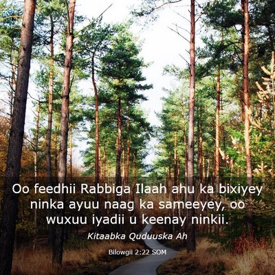 Picture 03 - Bilowgii 2:22 SOM - Oo feedhii Rabbiga Ilaah ahu ka bixiyey ninka - Bible Verse Picture