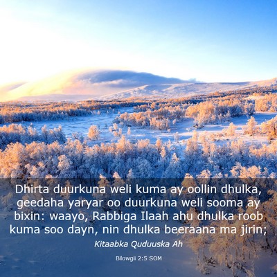 Picture 03 - Bilowgii 2:5 SOM - Dhirta duurkuna weli kuma ay oollin dhulka, - Bible Verse Picture