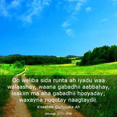 Picture 03 - Bilowgii 20:12 SOM - Oo weliba sida runta ah iyadu waa walaashay, - Bible Verse Picture