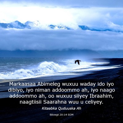 Picture 03 - Bilowgii 20:14 SOM - Markaasaa Abimeleg wuxuu waday ido iyo dibiyo, - Bible Verse Picture
