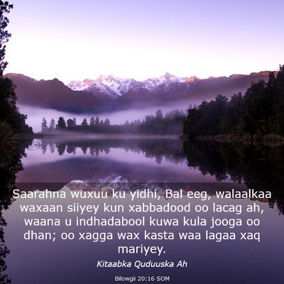Picture 03 - Bilowgii 20:16 SOM - Saarahna wuxuu ku yidhi, Bal eeg, walaalkaa - Bible Verse Picture