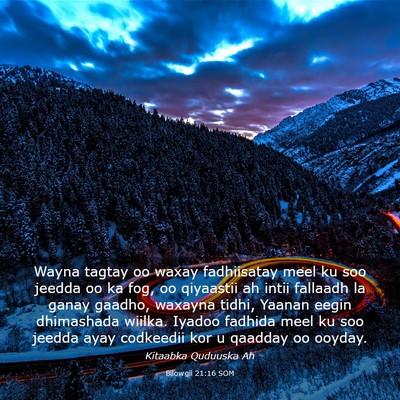 Picture 03 - Bilowgii 21:16 SOM - Wayna tagtay oo waxay fadhiisatay meel ku soo - Bible Verse Picture