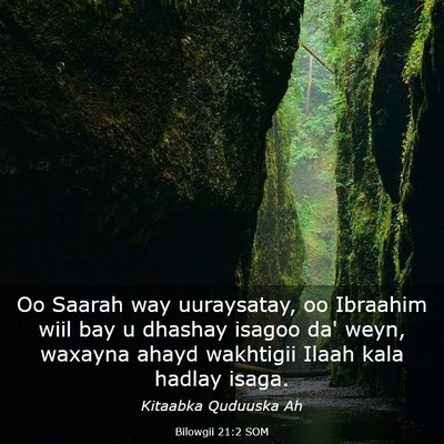 Picture 03 - Bilowgii 21:2 SOM - Oo Saarah way uuraysatay, oo Ibraahim wiil bay u - Bible Verse Picture