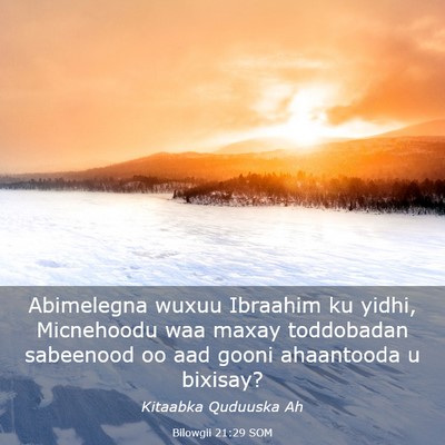 Picture 03 - Bilowgii 21:29 SOM - Abimelegna wuxuu Ibraahim ku yidhi, Micnehoodu - Bible Verse Picture