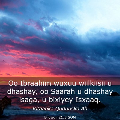 Picture 03 - Bilowgii 21:3 SOM - Oo Ibraahim wuxuu wiilkiisii u dhashay, oo Saarah - Bible Verse Picture
