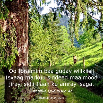 Picture 03 - Bilowgii 21:4 SOM - Oo Ibraahim baa guday wiilkiisii Isxaaq markuu - Bible Verse Picture
