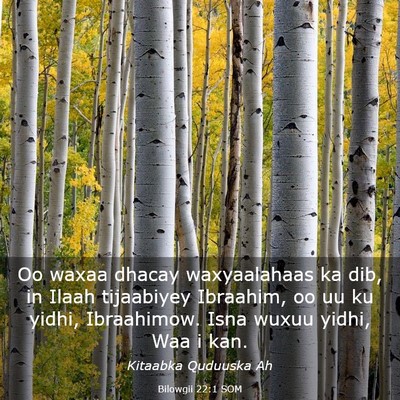 Picture 03 - Bilowgii 22:1 SOM - Oo waxaa dhacay waxyaalahaas ka dib, in Ilaah - Bible Verse Picture
