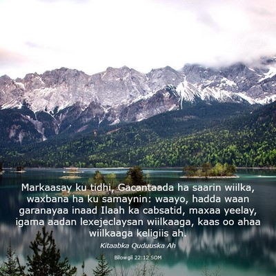 Picture 03 - Bilowgii 22:12 SOM - Markaasay ku tidhi, Gacantaada ha saarin wiilka, - Bible Verse Picture