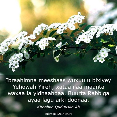 Picture 03 - Bilowgii 22:14 SOM - Ibraahimna meeshaas wuxuu u bixiyey Yehowah - Bible Verse Picture
