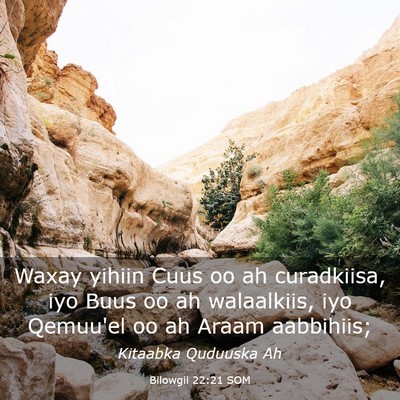 Picture 03 - Bilowgii 22:21 SOM - Waxay yihiin Cuus oo ah curadkiisa, iyo Buus oo - Bible Verse Picture