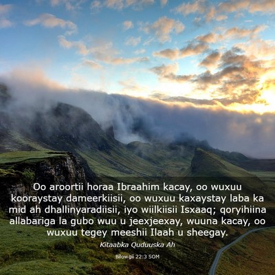 Picture 03 - Bilowgii 22:3 SOM - Oo aroortii horaa Ibraahim kacay, oo wuxuu - Bible Verse Picture