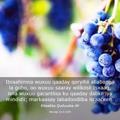 Picture 03 - Bilowgii 22:6 SOM - Ibraahimna wuxuu qaaday qoryihii allabariga la - Bible Verse Picture