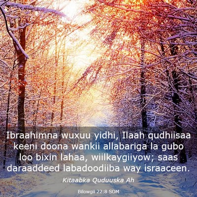 Picture 03 - Bilowgii 22:8 SOM - Ibraahimna wuxuu yidhi, Ilaah qudhiisaa keeni - Bible Verse Picture