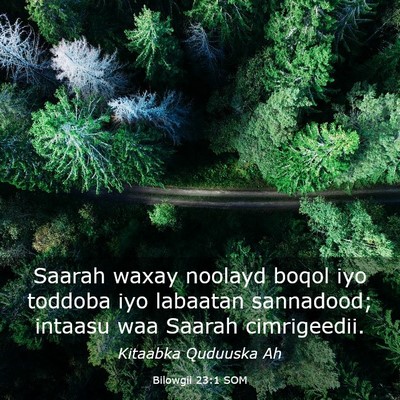 Picture 03 - Bilowgii 23:1 SOM - Saarah waxay noolayd boqol iyo toddoba iyo - Bible Verse Picture