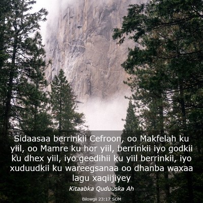 Picture 03 - Bilowgii 23:17 SOM - Sidaasaa berrinkii Cefroon, oo Makfelah ku yiil, - Bible Verse Picture