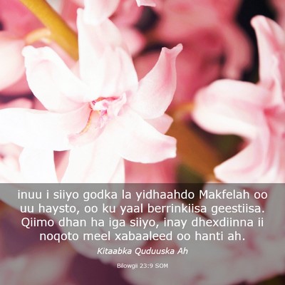 Picture 03 - Bilowgii 23:9 SOM - inuu i siiyo godka la yidhaahdo Makfelah oo uu - Bible Verse Picture