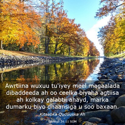 Picture 03 - Bilowgii 24:11 SOM - Awrtiina wuxuu tu'iyey meel magaalada dibaddeeda - Bible Verse Picture
