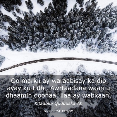 Picture 03 - Bilowgii 24:19 SOM - Oo markii ay waraabisay ka dib ayay ku tidhi, - Bible Verse Picture