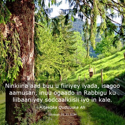 Picture 03 - Bilowgii 24:21 SOM - Ninkiina aad buu u fiiriyey iyada, isagoo - Bible Verse Picture