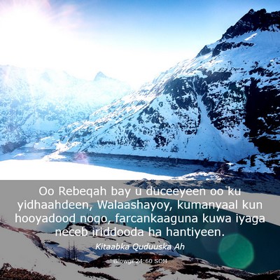 Picture 03 - Bilowgii 24:60 SOM - Oo Rebeqah bay u duceeyeen oo ku yidhaahdeen, - Bible Verse Picture