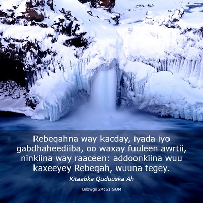 Picture 03 - Bilowgii 24:61 SOM - Rebeqahna way kacday, iyada iyo gabdhaheediiba, - Bible Verse Picture