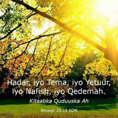 Picture 03 - Bilowgii 25:15 SOM - Hadar, iyo Tema, iyo Yetuur, iyo Nafish, iyo - Bible Verse Picture