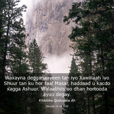 Picture 03 - Bilowgii 25:18 SOM - Waxayna degganaayeen tan iyo Xawiilaah iyo Shuur - Bible Verse Picture