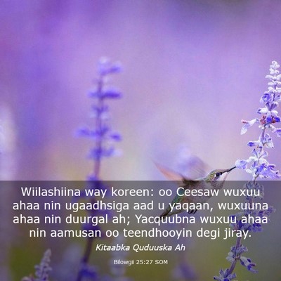 Picture 03 - Bilowgii 25:27 SOM - Wiilashiina way koreen: oo Ceesaw wuxuu ahaa nin - Bible Verse Picture