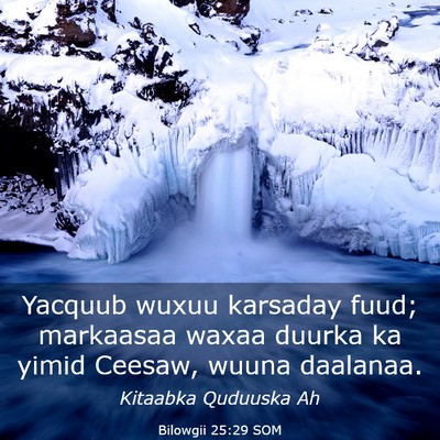 Picture 03 - Bilowgii 25:29 SOM - Yacquub wuxuu karsaday fuud; markaasaa waxaa - Bible Verse Picture