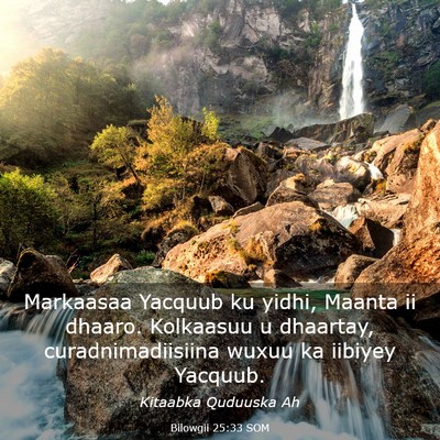 Picture 03 - Bilowgii 25:33 SOM - Markaasaa Yacquub ku yidhi, Maanta ii dhaaro. - Bible Verse Picture