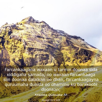 Picture 03 - Bilowgii 26:4 SOM - Farcankaagana waxaan u tarmin doonaa sida - Bible Verse Picture