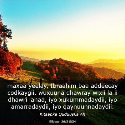 Picture 03 - Bilowgii 26:5 SOM - maxaa yeelay, Ibraahim baa addeecay codkaygii, - Bible Verse Picture