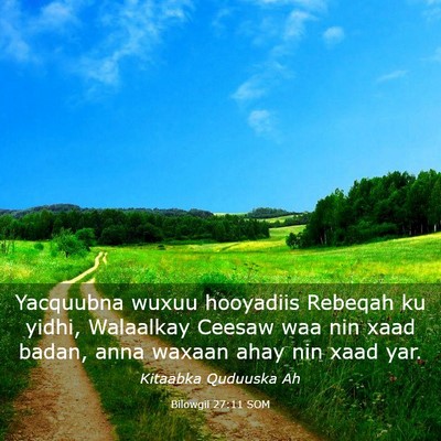 Picture 03 - Bilowgii 27:11 SOM - Yacquubna wuxuu hooyadiis Rebeqah ku yidhi, - Bible Verse Picture