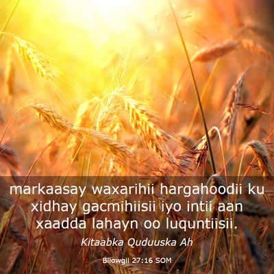 Picture 03 - Bilowgii 27:16 SOM - markaasay waxarihii hargahoodii ku xidhay - Bible Verse Picture
