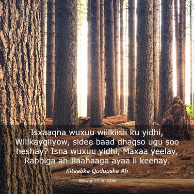Picture 03 - Bilowgii 27:20 SOM - Isxaaqna wuxuu wiilkiisii ku yidhi, - Bible Verse Picture