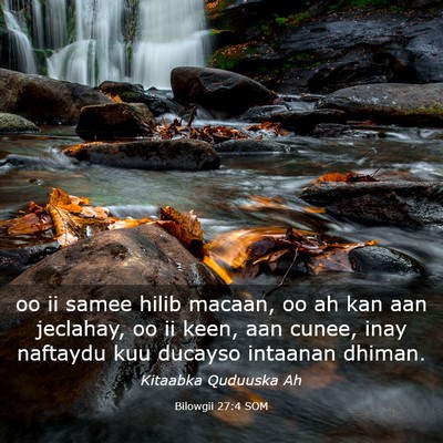 Picture 03 - Bilowgii 27:4 SOM - oo ii samee hilib macaan, oo ah kan aan jeclahay, - Bible Verse Picture