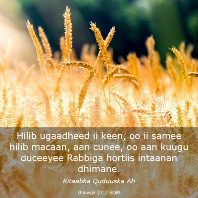 Picture 03 - Bilowgii 27:7 SOM - Hilib ugaadheed ii keen, oo ii samee hilib - Bible Verse Picture