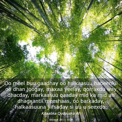 Picture 03 - Bilowgii 28:11 SOM - Oo meel buu gaadhay oo halkaasuu habeenkii oo - Bible Verse Picture