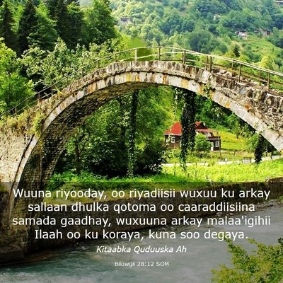 Picture 03 - Bilowgii 28:12 SOM - Wuuna riyooday, oo riyadiisii wuxuu ku arkay - Bible Verse Picture