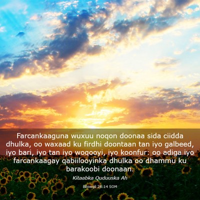 Picture 03 - Bilowgii 28:14 SOM - Farcankaaguna wuxuu noqon doonaa sida ciidda - Bible Verse Picture
