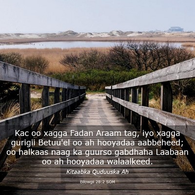 Picture 03 - Bilowgii 28:2 SOM - Kac oo xagga Fadan Araam tag, iyo xagga gurigii - Bible Verse Picture