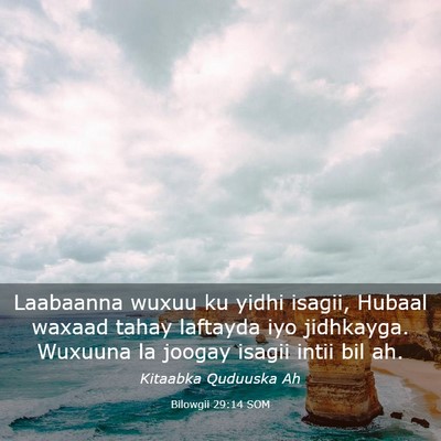 Picture 03 - Bilowgii 29:14 SOM - Laabaanna wuxuu ku yidhi isagii, Hubaal waxaad - Bible Verse Picture