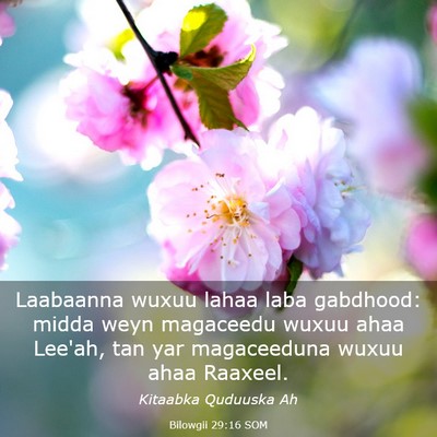 Picture 03 - Bilowgii 29:16 SOM - Laabaanna wuxuu lahaa laba gabdhood: midda weyn - Bible Verse Picture