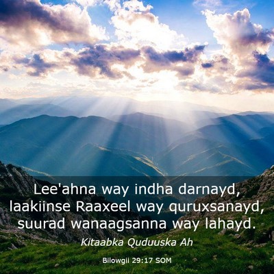 Picture 03 - Bilowgii 29:17 SOM - Lee'ahna way indha darnayd, laakiinse Raaxeel way - Bible Verse Picture