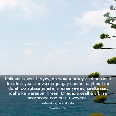 Picture 03 - Bilowgii 29:2 SOM - Kolkaasuu wax fiiriyey, oo wuxuu arkay ceel - Bible Verse Picture