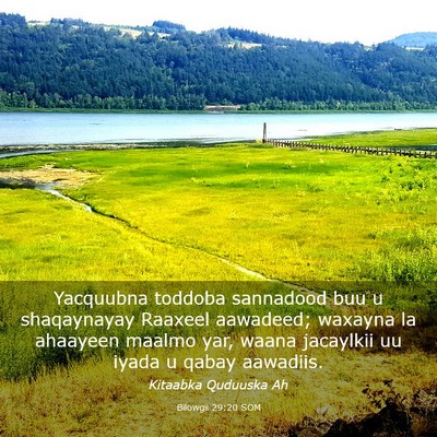 Picture 03 - Bilowgii 29:20 SOM - Yacquubna toddoba sannadood buu u shaqaynayay - Bible Verse Picture