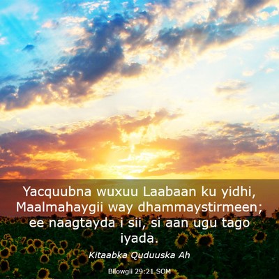 Picture 03 - Bilowgii 29:21 SOM - Yacquubna wuxuu Laabaan ku yidhi, Maalmahaygii - Bible Verse Picture