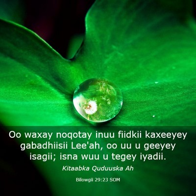 Picture 03 - Bilowgii 29:23 SOM - Oo waxay noqotay inuu fiidkii kaxeeyey - Bible Verse Picture