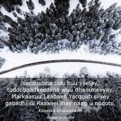 Picture 03 - Bilowgii 29:28 SOM - Yacquubna sidii buu yeelay, toddobaadkeediina wuu - Bible Verse Picture