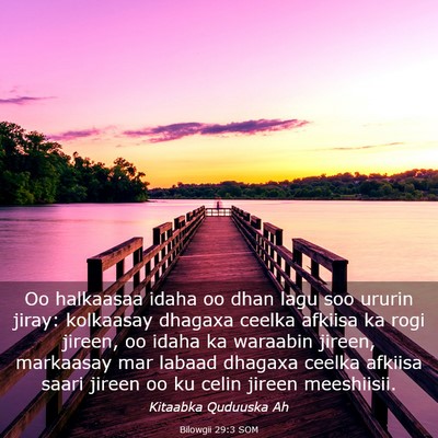 Picture 03 - Bilowgii 29:3 SOM - Oo halkaasaa idaha oo dhan lagu soo ururin jiray: - Bible Verse Picture